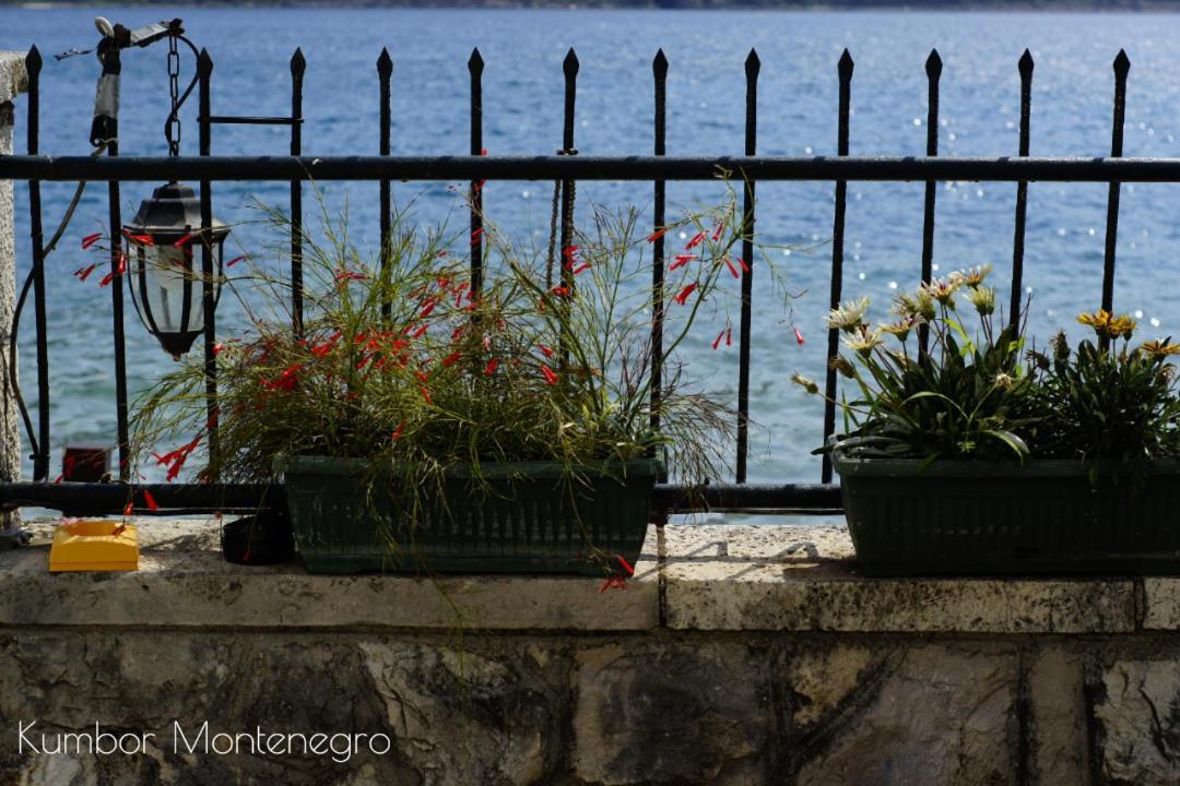 Apartments Batricevic Herceg Novi Bagian luar foto