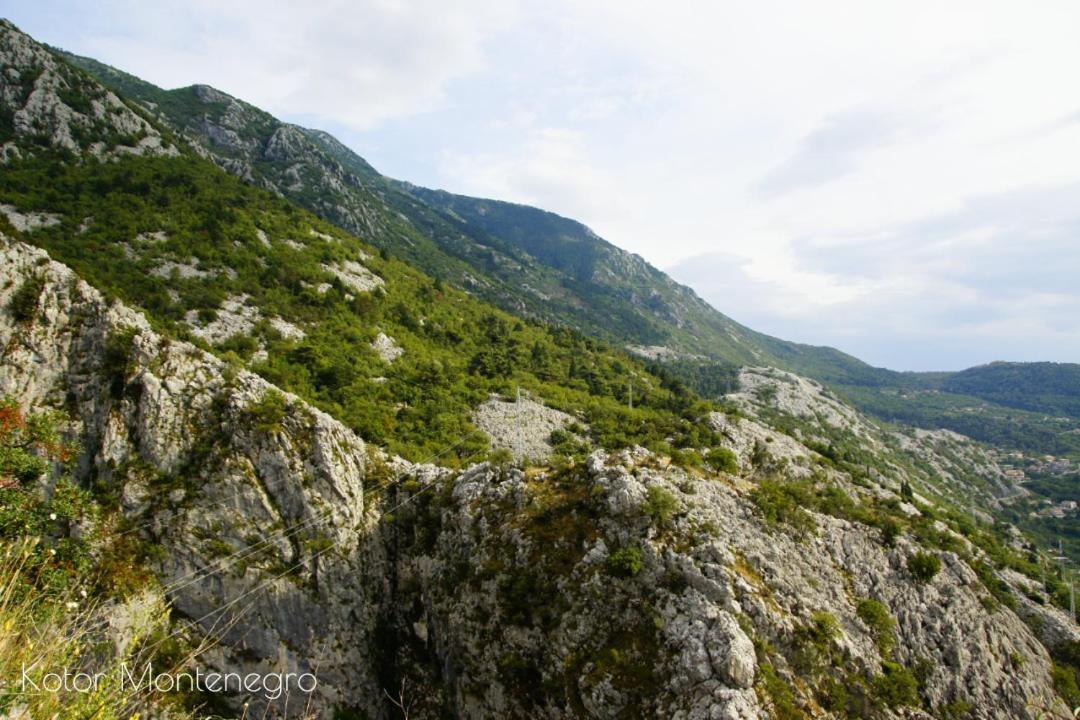 Apartments Batricevic Herceg Novi Bagian luar foto